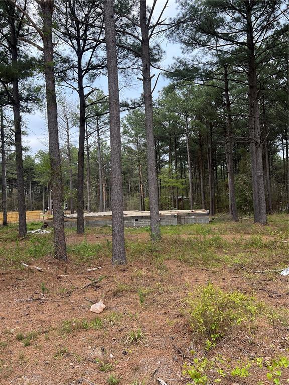 114 Alumacraft Ln, Broken Bow, OK 74728 - photo 1