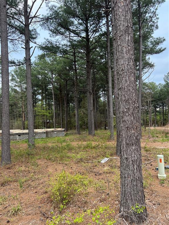 114 Alumacraft Ln, Broken Bow, OK 74728 - photo 3