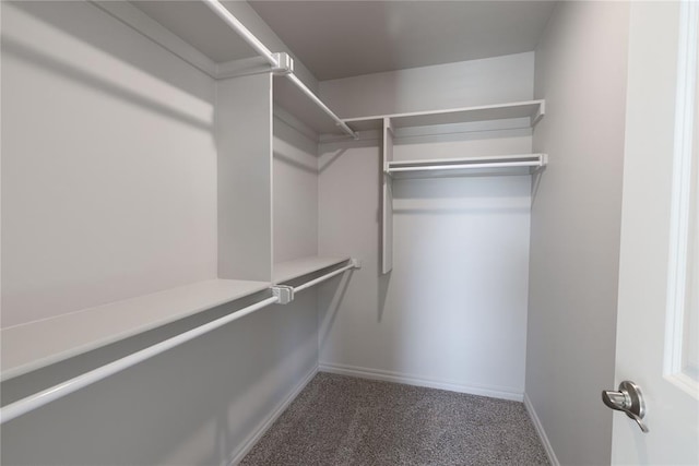 spacious closet featuring dark carpet