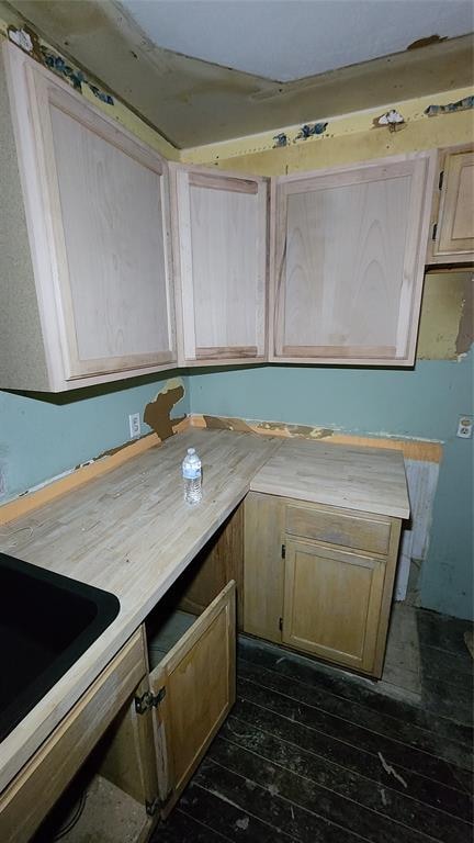 kitchen featuring light brown cabinets, dark hardwood / wood-style flooring, and sink