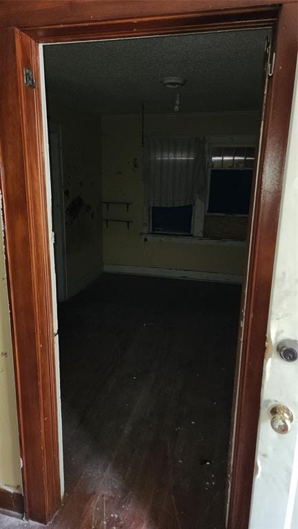 hallway featuring dark wood-type flooring