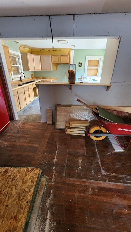 kitchen featuring dark hardwood / wood-style flooring, light brown cabinetry, and sink