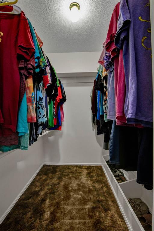 walk in closet with carpet floors