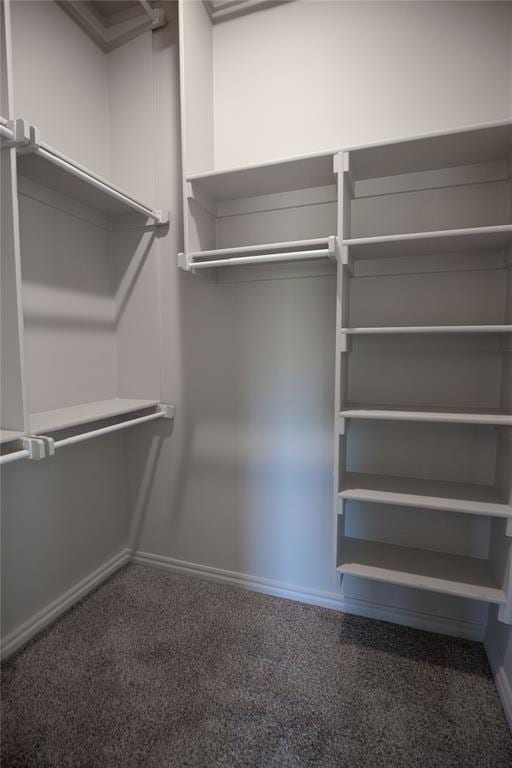 spacious closet featuring carpet floors