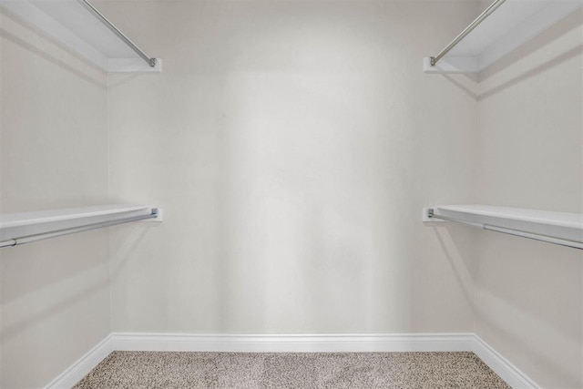 walk in closet with carpet floors