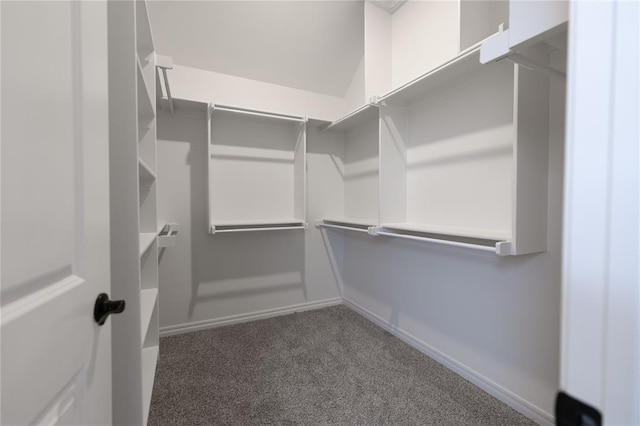 spacious closet featuring dark colored carpet