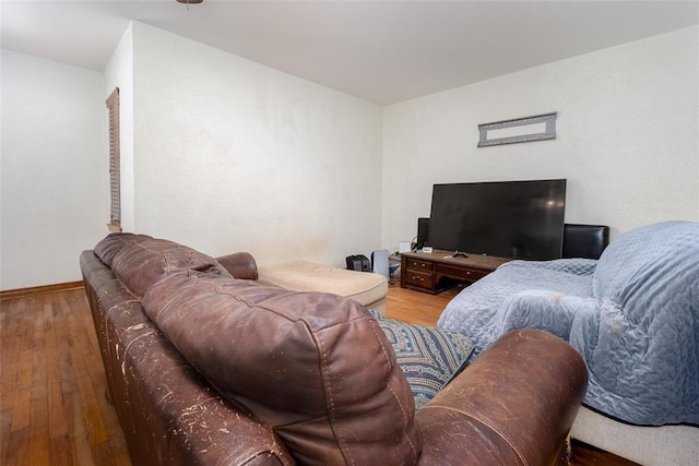 living room with hardwood / wood-style floors