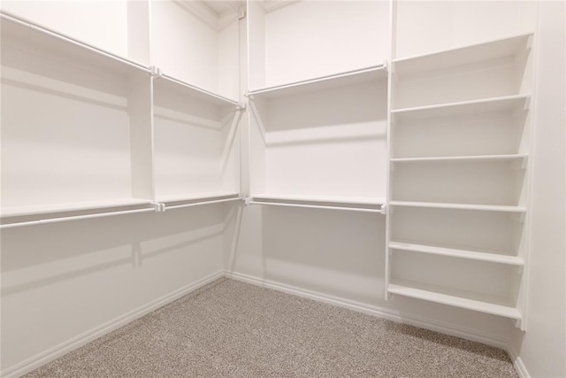 spacious closet with carpet floors