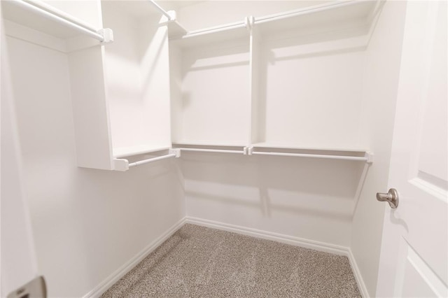 spacious closet featuring carpet