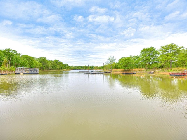 water view featuring a dock