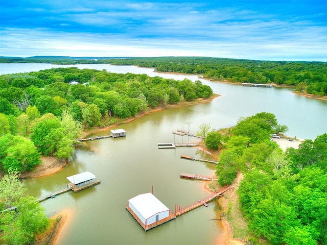 bird's eye view featuring a water view