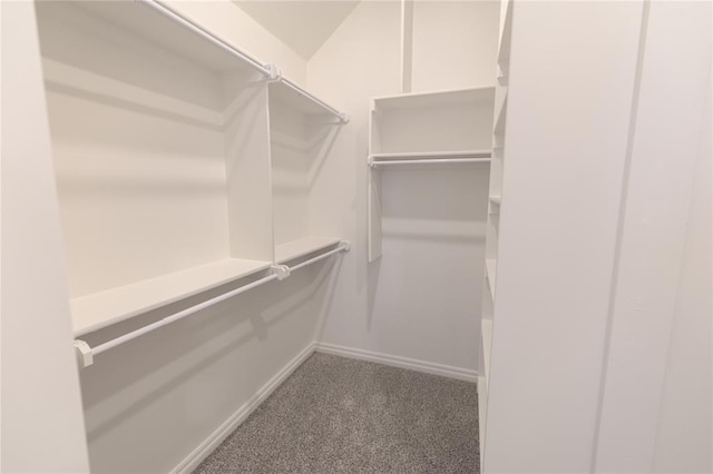 walk in closet with carpet floors