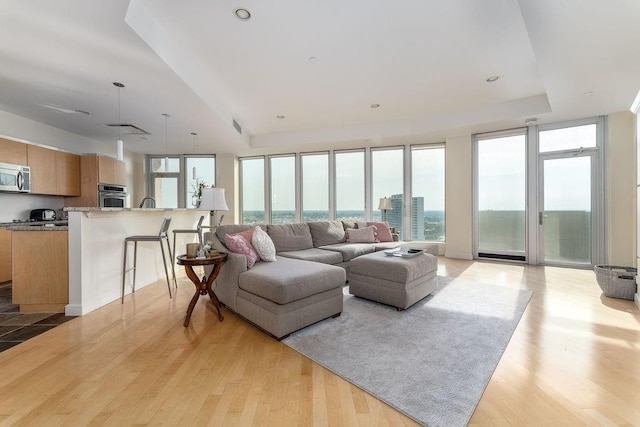 living room featuring light wood-type flooring