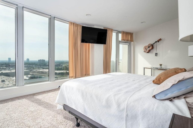 bedroom with carpet floors