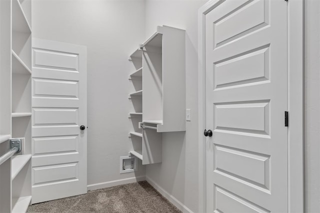 walk in closet featuring carpet