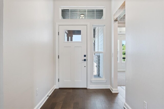 entrance foyer featuring dark hardwood / wood-style flooring