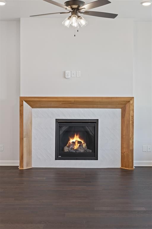 details featuring hardwood / wood-style flooring, ceiling fan, and a premium fireplace