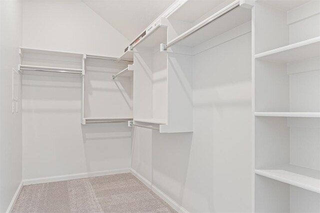 spacious closet featuring light carpet