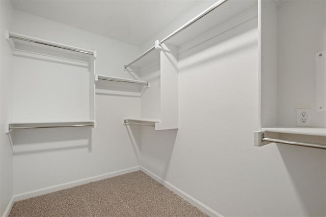 walk in closet with carpet