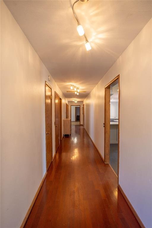 corridor featuring dark hardwood / wood-style floors