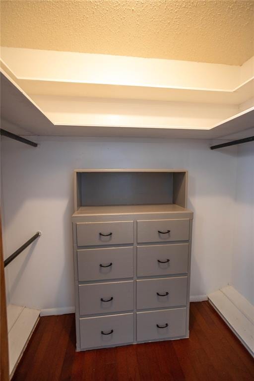 walk in closet featuring dark hardwood / wood-style floors