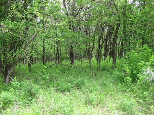 County Road 1250, Tuttle OK, 73089 land for sale