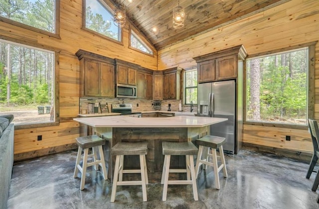 kitchen with stainless steel appliances, plenty of natural light, and wooden walls