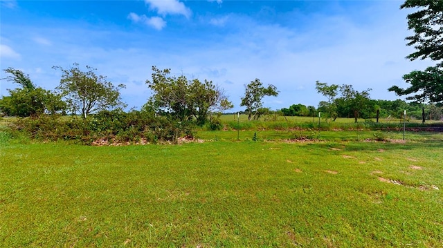 view of yard with a rural view