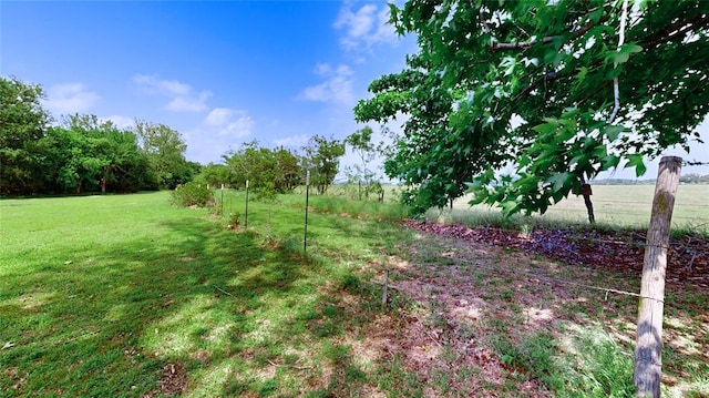 view of yard with a rural view