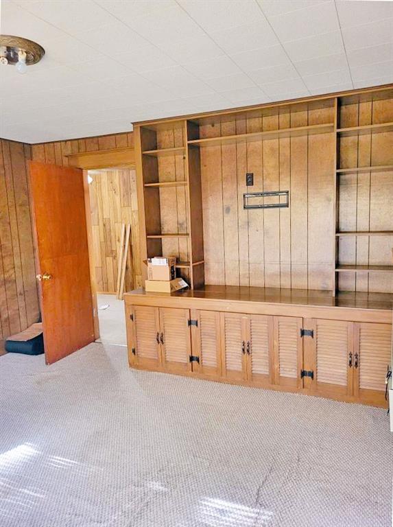 interior space featuring wood walls, built in features, and light colored carpet