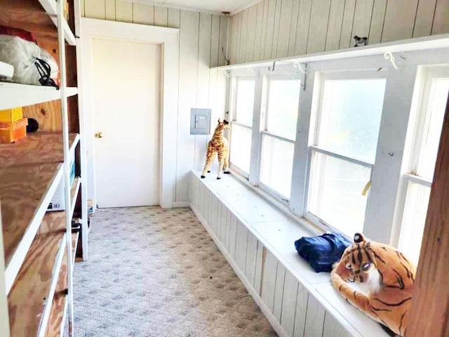 mudroom with wood walls, light colored carpet, and electric panel