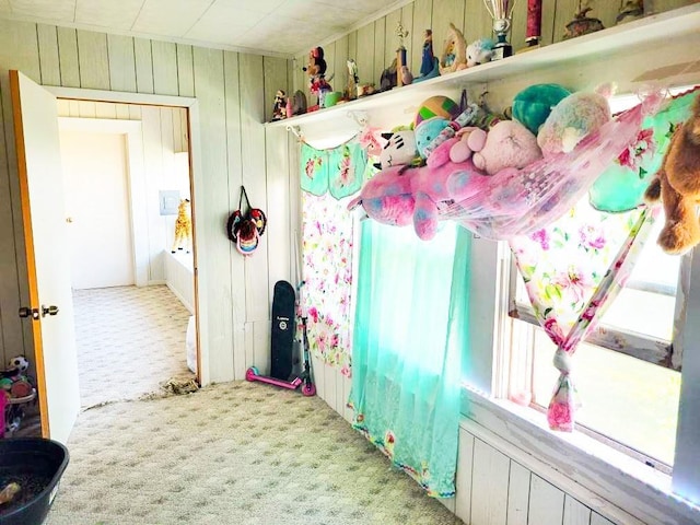 mudroom featuring wooden walls and carpet
