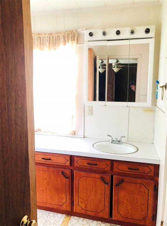 bathroom featuring vanity and a healthy amount of sunlight