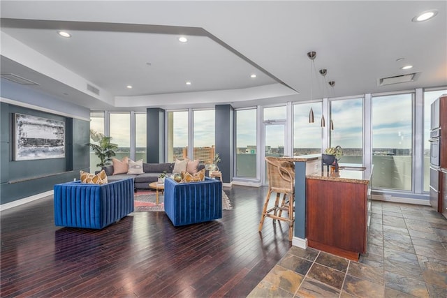 living room featuring dark hardwood / wood-style floors and a raised ceiling