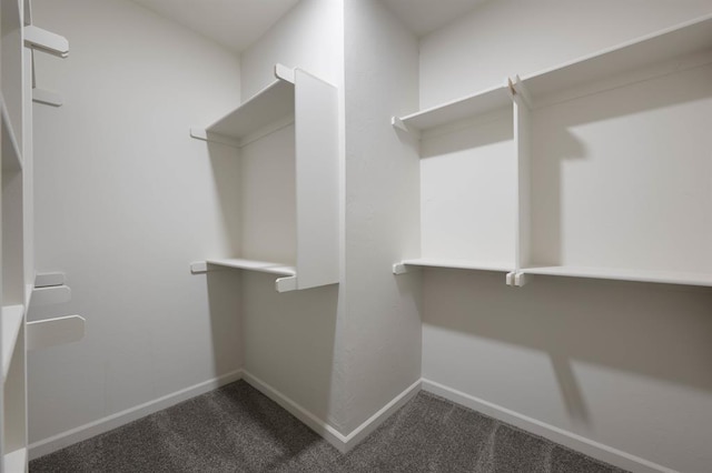 walk in closet with dark colored carpet