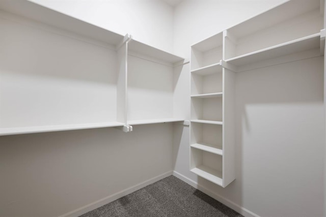 spacious closet featuring carpet floors