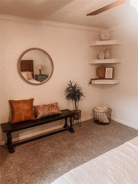 living area with carpet and ornamental molding