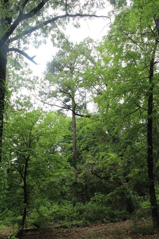 view of local wilderness