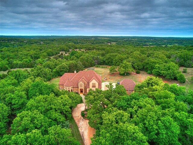 bird's eye view