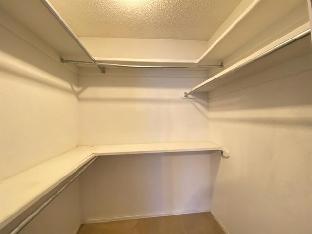 spacious closet featuring wood-type flooring