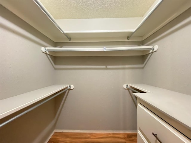 walk in closet with wood-type flooring