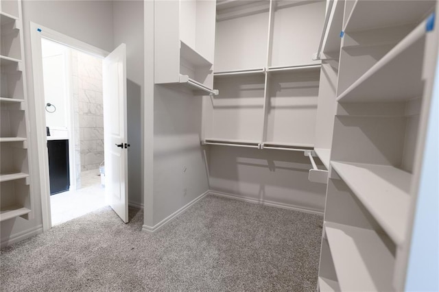 walk in closet with carpet floors