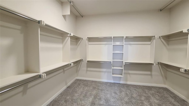 spacious closet with carpet