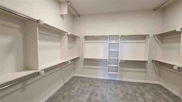 200 Braxton Way, Yukon, OK 73099 - walk in closet with carpet