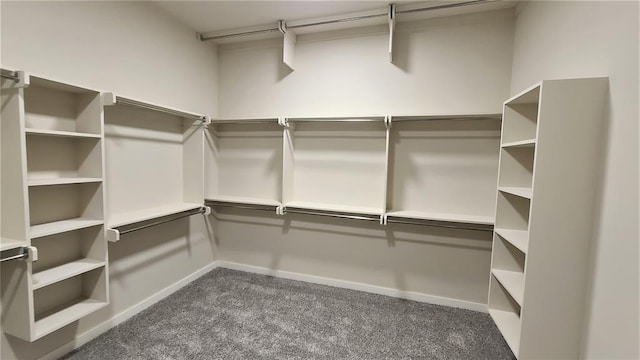 spacious closet featuring dark colored carpet