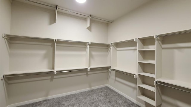 spacious closet featuring carpet floors