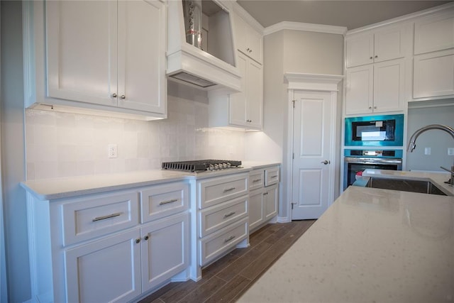 kitchen featuring white cabinets, sink, light stone counters, appliances with stainless steel finishes, and dark hardwood / wood-style flooring