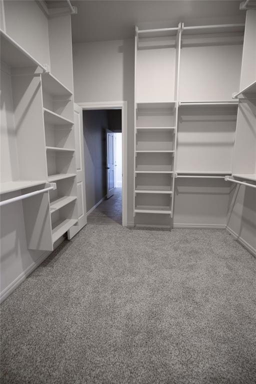 spacious closet with carpet flooring