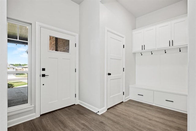 mudroom featuring dark hardwood / wood-style floors