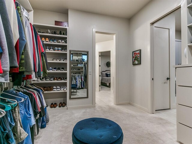 spacious closet with light carpet